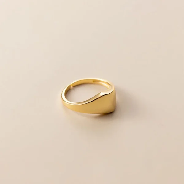 197147cdb098dbd006d76194181ff89f Sterling Silver Minimalist Midi Pinky Ring