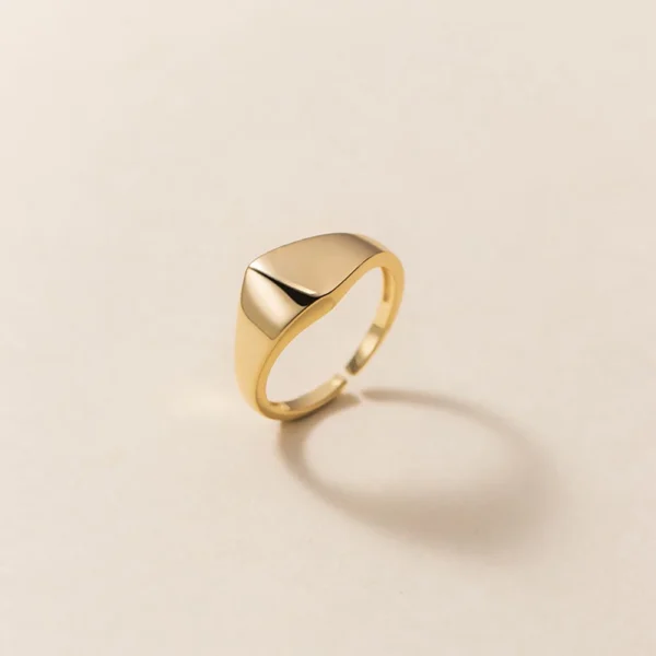d363fd69871556d7a60deec420985838 Sterling Silver Minimalist Midi Pinky Ring