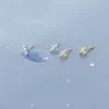5aa388eeb2634b098f044f7de27e6859 Sterling Silver Mini Plane Diamond Stud Earrings